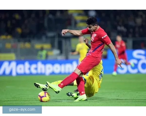 弗罗西诺内俱乐部迎来关键调整新赛季布局全面战略升级冲击意甲