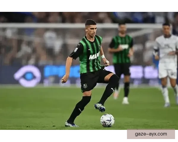 以萨索洛俱乐部为核心解析意甲赛季表现与未来发展趋势