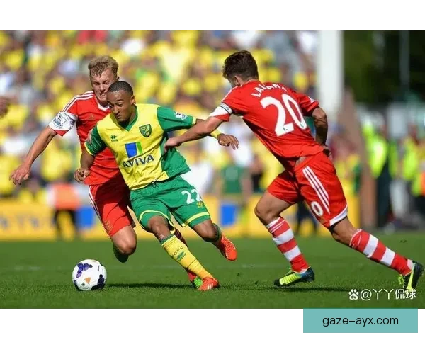 南安普顿俱乐部最新动态：阵容调整与新赛季备战情况解析