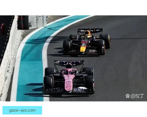 F1赛季最新战报解析车队策略与车手表现全面盘点