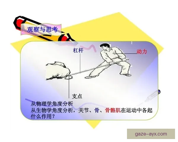 曼联对阵纽卡斯尔赛后复盘霍伊伦支点作用深度解析 曼联对阵纽卡斯尔赛后复盘霍伊伦支点作用深度解析